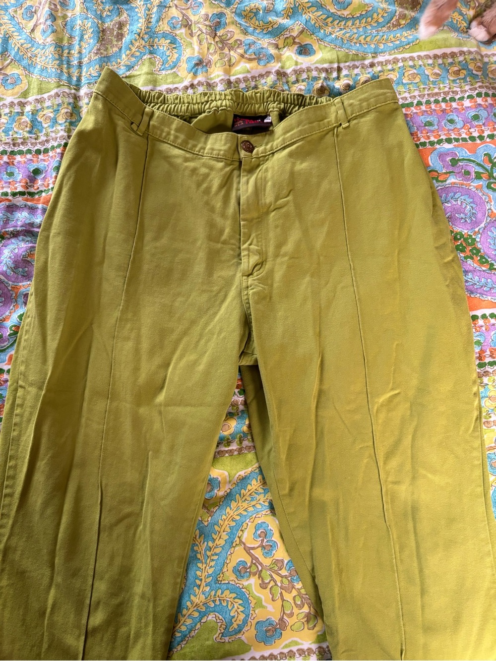 Big Bud Press Gross Green Western Pants 1XL